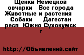 Щенки Немецкой овчарки - Все города Животные и растения » Собаки   . Дагестан респ.,Южно-Сухокумск г.